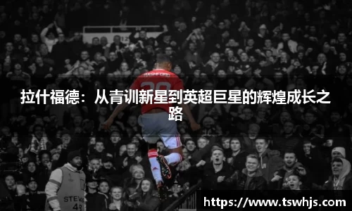 半岛bob·官方网站