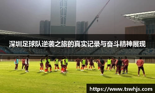 半岛bob·官方网站