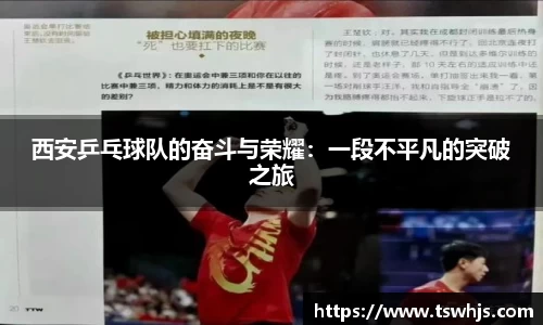 半岛bob·官方